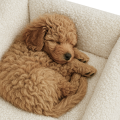 ChatGPT Image 15 gru 2025, 20_50_18.png
