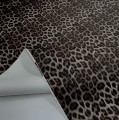IMG_9221.jpeg