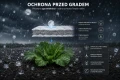 ChatGPT Image 29 cze 2026, 13_53_02.png